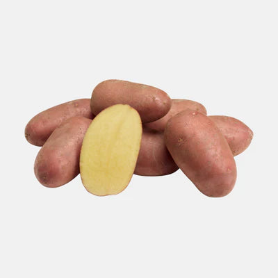 Pootaardappel Alouette