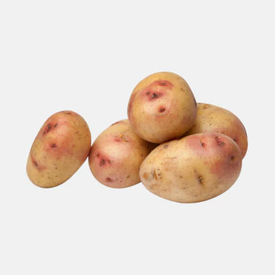 Bio Pootaardappel Carolus