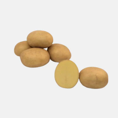 Bio Pootaardappela Connect