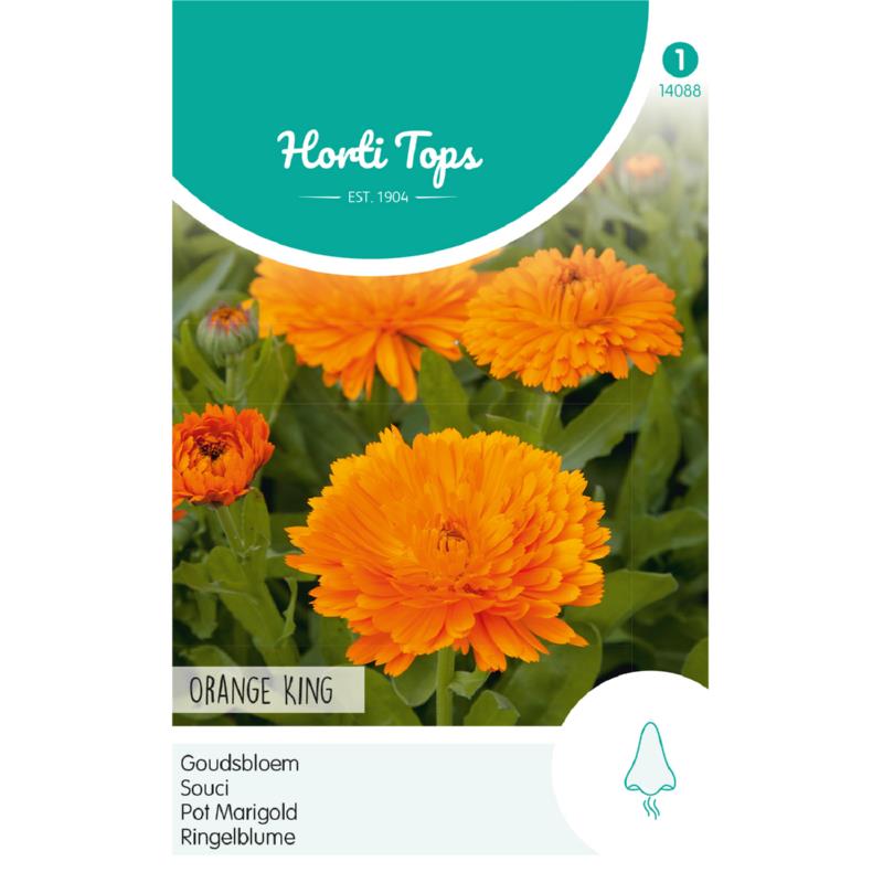 HT Calendula, Goudsbloem Orange King