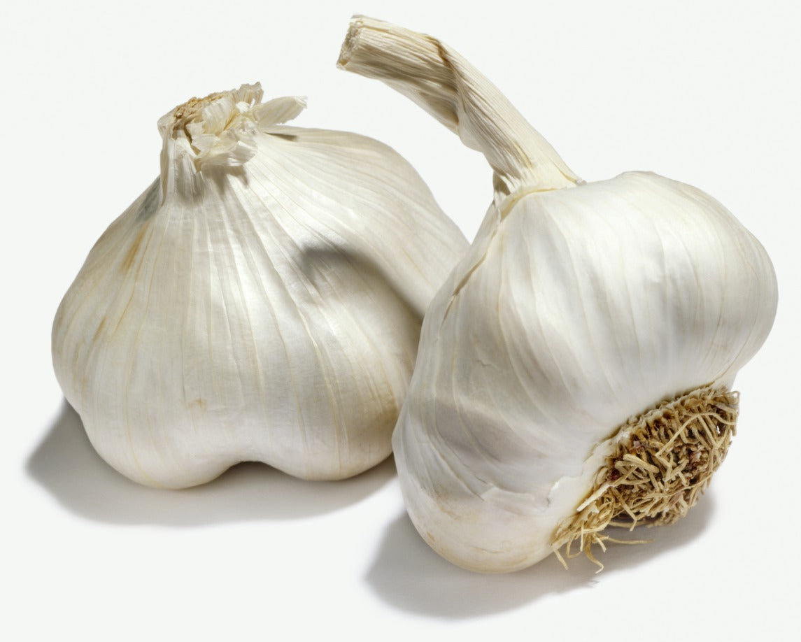 Knoflook Blanke Reuzen ( 5 bollen )