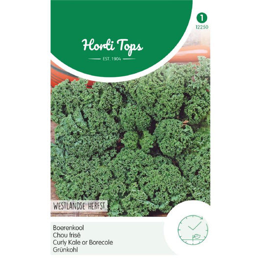 HT Boerenkool Westlandse Herfst, laat type
