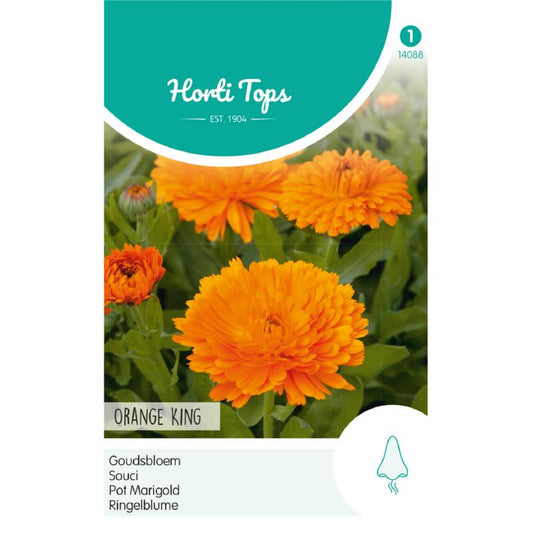 HT Calendula, Goudsbloem Orange King