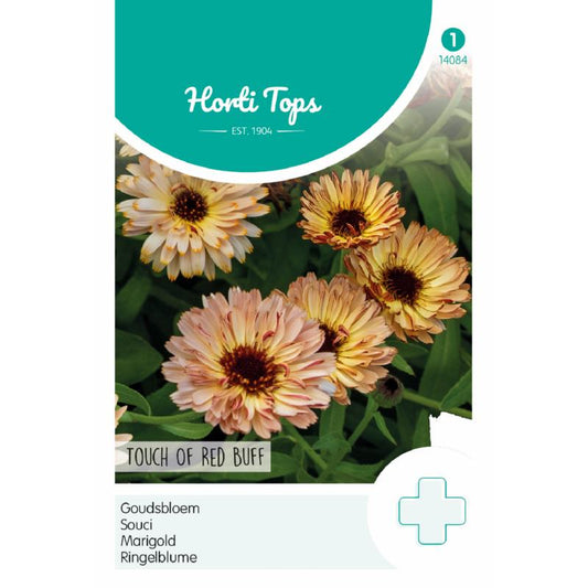 HT Calendula, Goudsbloem Touch Of Red Buff