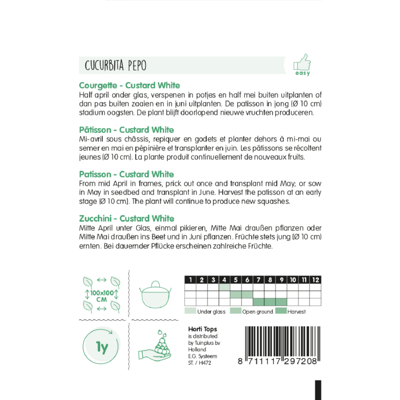 HT Courgette Custard White