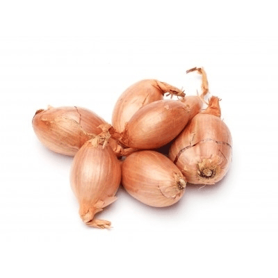 Plantuien Sturon
